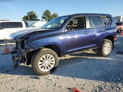 2023 Lexus GX 460 en venta en Prairie Grove, AR