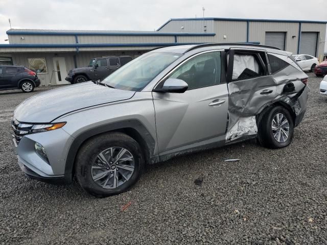 2023 Hyundai Tucson Blue