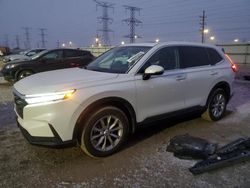 Salvage cars for sale at Elgin, IL auction: 2023 Honda CR-V EXL