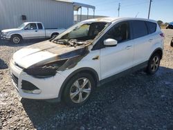 Salvage cars for sale from Copart Tifton, GA: 2014 Ford Escape SE