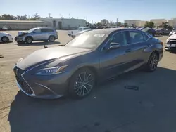 2023 Lexus ES 300H Base en venta en Martinez, CA