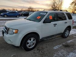 Salvage cars for sale from Copart London, ON: 2011 Ford Escape XLT