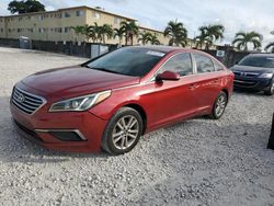 Salvage cars for sale from Copart Opa Locka, FL: 2016 Hyundai Sonata SE