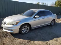 Lots with Bids for sale at auction: 2011 Honda Accord EXL