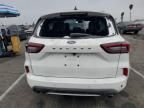 2024 Ford Escape ST Line