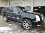 2007 Cadillac Escalade Luxury