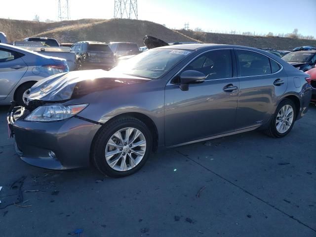 2014 Lexus ES 300H