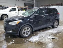 Salvage cars for sale at Candia, NH auction: 2016 Ford Escape SE