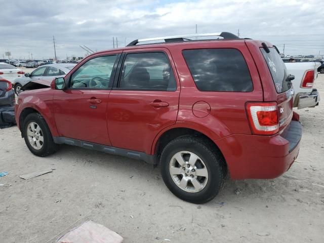 2011 Ford Escape Limited