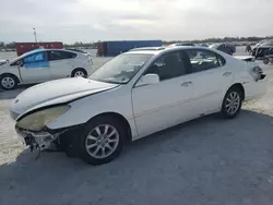 Salvage cars for sale at Arcadia, FL auction: 2003 Lexus ES 300