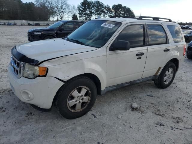 2010 Ford Escape XLT