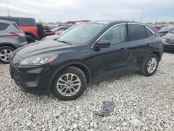 Salvage cars for sale at Cahokia Heights, IL auction: 2020 Ford Escape SE