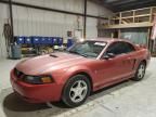 2001 Ford Mustang