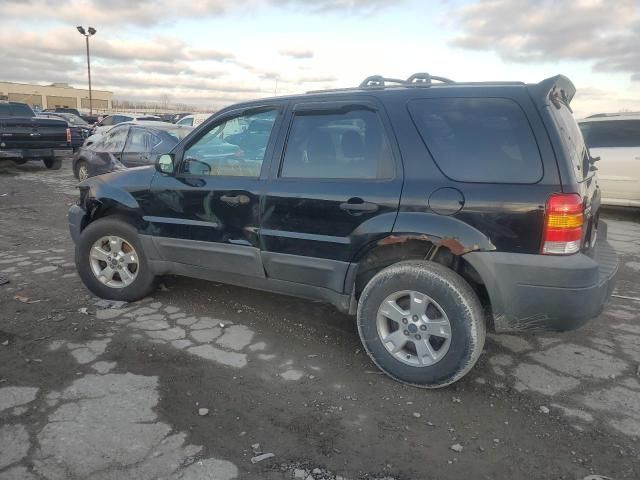 2005 Ford Escape XLT