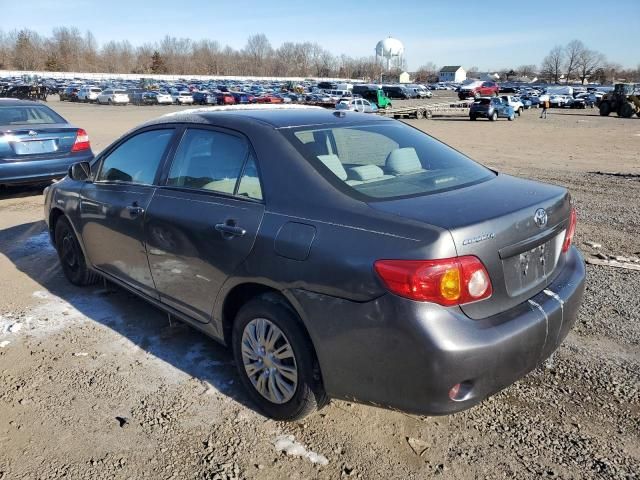 2010 Toyota Corolla Base