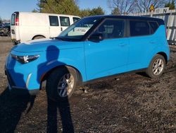 Salvage cars for sale at Finksburg, MD auction: 2024 KIA Soul LX