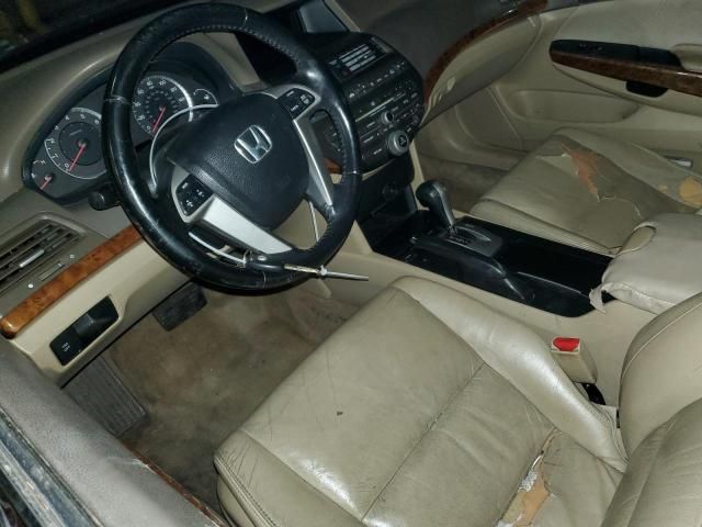 2009 Honda Accord EXL