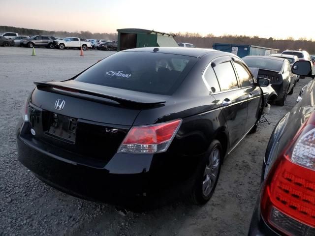 2010 Honda Accord EXL