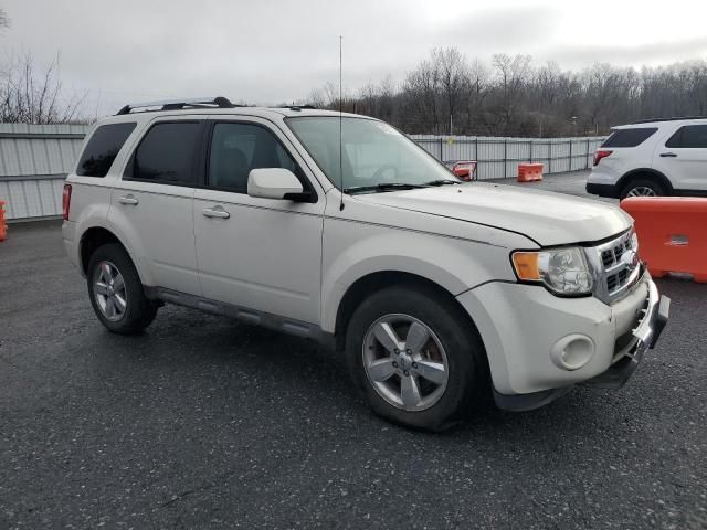 2011 Ford Escape Limited