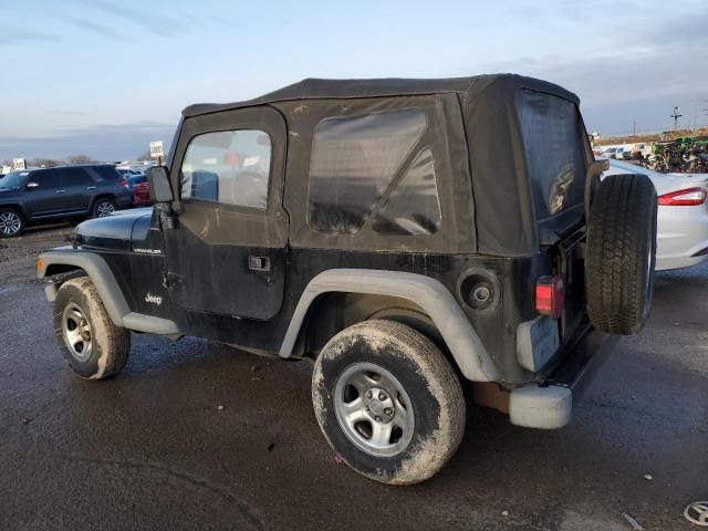 2002 Jeep Wrangler / TJ X