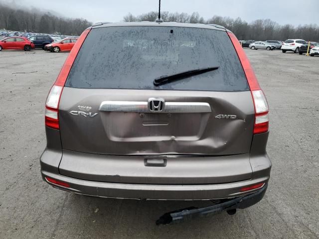 2010 Honda CR-V EXL