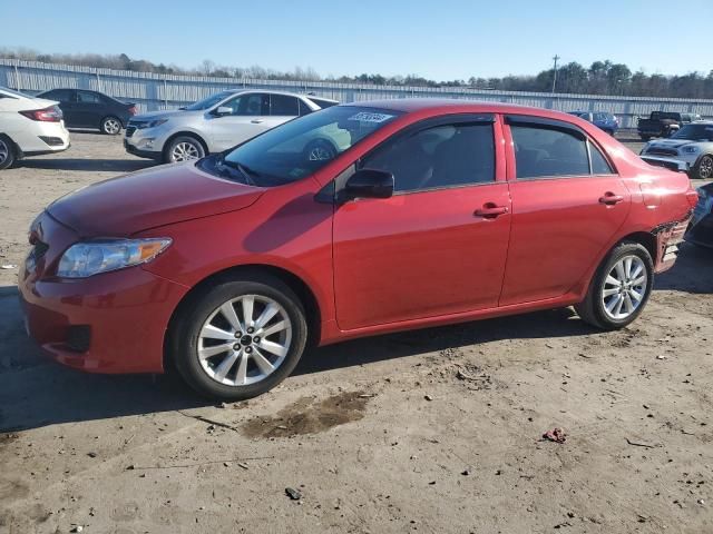 2010 Toyota Corolla Base