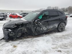 Ford Escape st salvage cars for sale: 2023 Ford Escape ST Line Elite