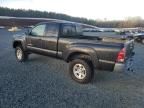 2005 Toyota Tacoma Prerunner Access Cab