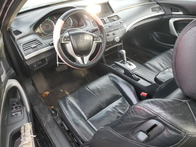 2009 Honda Accord EXL