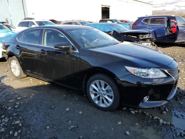 2014 Lexus ES 300H