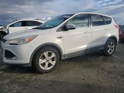 Salvage cars for sale at Antelope, CA auction: 2016 Ford Escape SE