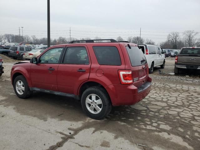 2011 Ford Escape XLT