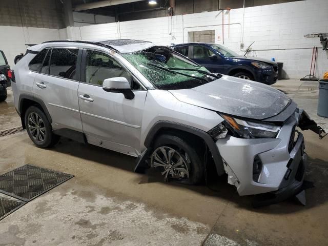 2024 Toyota Rav4 XLE Premium