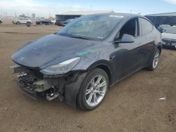 Salvage cars for sale at Brighton, CO auction: 2023 Tesla Model Y