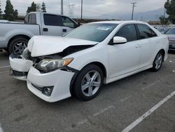 Salvage cars for sale at Rancho Cucamonga, CA auction: 2013 Toyota Camry L