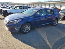 Salvage cars for sale at Louisville, KY auction: 2016 Hyundai Sonata SE