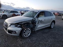 Salvage cars for sale at Helena, MT auction: 2015 Audi Q5 Premium