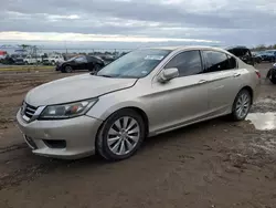 Salvage cars for sale at Houston, TX auction: 2014 Honda Accord EXL