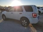 2011 Ford Escape XLS