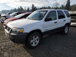 Ford Escape salvage cars for sale: 2006 Ford Escape HEV