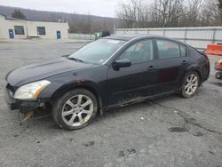 2007 Nissan Maxima SE en venta en Grantville, PA