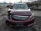 2011 Honda Accord LXP