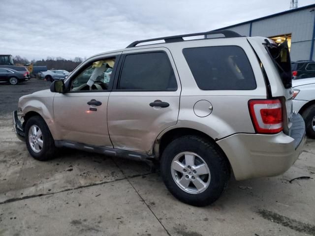 2010 Ford Escape XLT