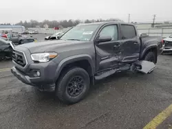 Salvage cars for sale at Pennsburg, PA auction: 2020 Toyota Tacoma Double Cab