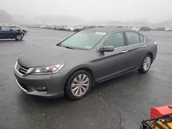 Honda Accord exl salvage cars for sale: 2013 Honda Accord EXL