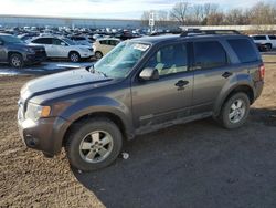 Ford salvage cars for sale: 2012 Ford Escape XLT