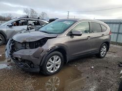 Salvage cars for sale at Chicago Heights, IL auction: 2013 Honda CR-V EXL