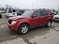 Ford salvage cars for sale: 2011 Ford Escape XLT