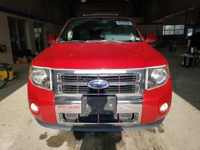 2010 Ford Escape Limited