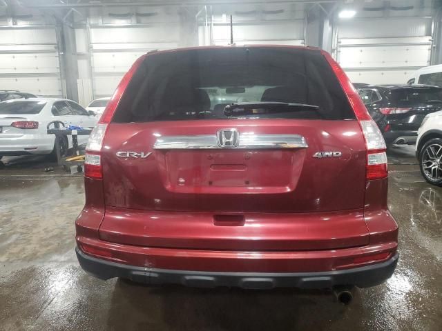 2010 Honda CR-V EXL